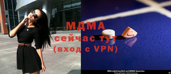 шишки Няндома