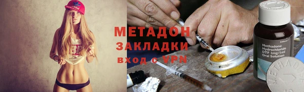 прущие грибы Абинск