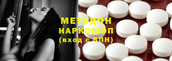 шишки Няндома