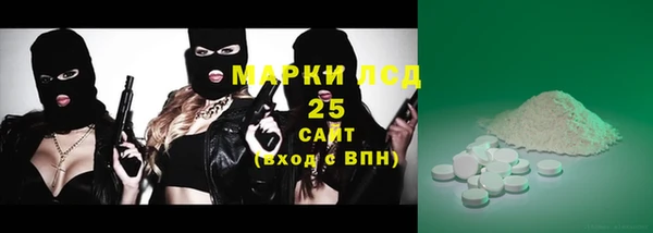 прущие грибы Абинск