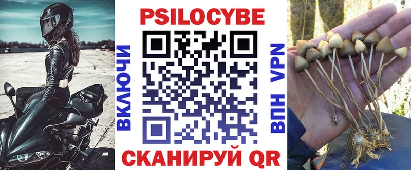 Галлюциногенные грибы Cubensis  где можно купить наркотик  Тогучин 